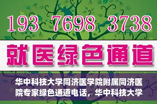 华中科技大学同济医学院附属同济医院专家绿色通道电话，华中科技大学同济医院专家绿色通道联系电话揭秘