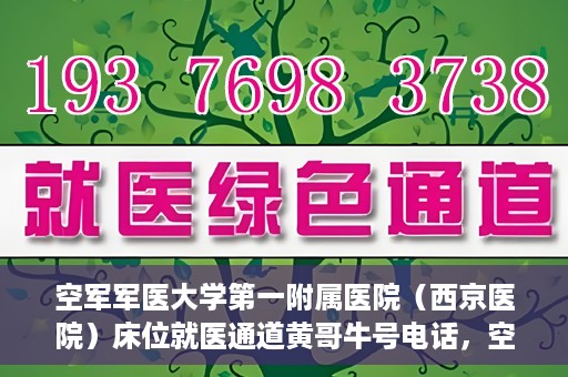 空军军医大学第一附属医院（西京医院）床位就医通道黄哥牛号电话，空军军医大学第一附属医院（西京医院）床位就医通道详解，黄哥牛号电话及预约指南