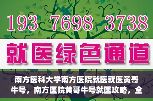 南方医科大学南方医院就医就医黄哥牛号，南方医院黄哥牛号就医攻略，全方位解析就医流程与体验