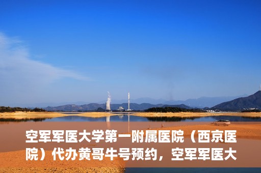 空军军医大学第一附属医院（西京医院）代办黄哥牛号预约，空军军医大学第一附属医院（西京医院）黄哥牛号预约详解，一站式便捷就医体验