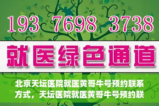 北京天坛医院就医黄哥牛号预约联系方式，天坛医院就医黄哥牛号预约联系方式揭秘，一站式解决您的健康需求