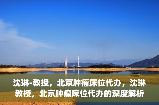 沈琳-教授，北京肿瘤床位代办，沈琳教授，北京肿瘤床位代办的深度解析