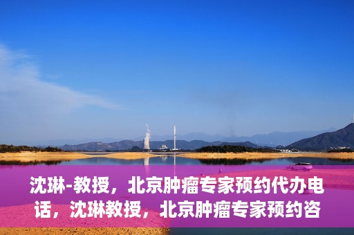 沈琳-教授，北京肿瘤专家预约代办电话，沈琳教授，北京肿瘤专家预约咨询热线