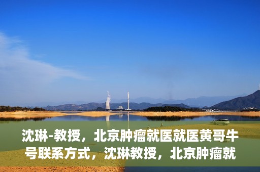 沈琳-教授，北京肿瘤就医就医黄哥牛号联系方式，沈琳教授，北京肿瘤就医指南及黄哥牛号联系方式揭秘