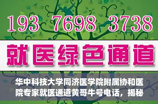 华中科技大学同济医学院附属协和医院专家就医通道黄哥牛号电话，揭秘华中科技大学同济医学院附属协和医院专家就医通道，黄哥牛号电话专线开通