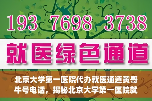 北京大学第一医院代办就医通道黄哥牛号电话，揭秘北京大学第一医院就医通道代办人黄哥牛号背后的故事与真相