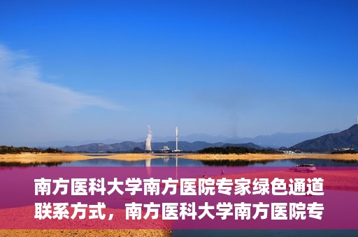 南方医科大学南方医院专家绿色通道联系方式，南方医科大学南方医院专家绿色通道联系指南，一站式解决您的健康咨询需求
