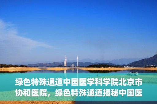 绿色特殊通道中国医学科学院北京市协和医院，绿色特殊通道揭秘中国医学科学院北京市协和医院的力量与担当