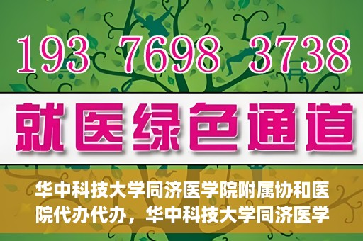 华中科技大学同济医学院附属协和医院代办代办，华中科技大学同济医学院附属协和医院代办事务解析