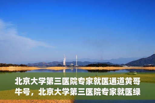 北京大学第三医院专家就医通道黄哥牛号，北京大学第三医院专家就医绿色通道，黄哥牛号引领就医新体验
