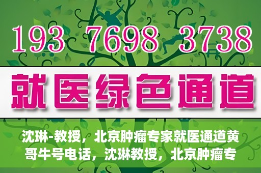沈琳-教授，北京肿瘤专家就医通道黄哥牛号电话，沈琳教授，北京肿瘤专家就医通道揭秘与黄哥牛号电话热线解读