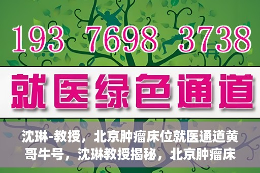 沈琳-教授，北京肿瘤床位就医通道黄哥牛号，沈琳教授揭秘，北京肿瘤床位就医通道黄哥牛号