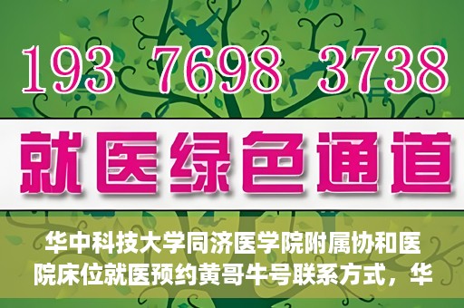 华中科技大学同济医学院附属协和医院床位就医预约黄哥牛号联系方式，华中科技大学同济医学院附属协和医院床位预约联系方式及黄哥牛号揭秘
