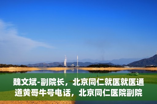 魏文斌-副院长，北京同仁就医就医通道黄哥牛号电话，北京同仁医院副院长魏文斌，就医通道揭秘与黄哥牛号电话解读