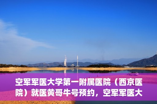 空军军医大学第一附属医院（西京医院）就医黄哥牛号预约，空军军医大学第一附属医院（西京医院）黄哥牛号预约就医攻略