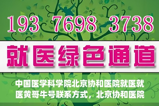 中国医学科学院北京协和医院就医就医黄哥牛号联系方式，北京协和医院就医攻略，黄哥牛号联系方式揭秘！