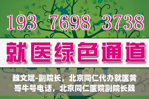 魏文斌-副院长，北京同仁代办就医黄哥牛号电话，北京同仁医院副院长魏文斌，就医黄哥牛号电话背后的故事与探索