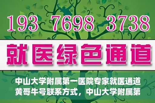 中山大学附属第一医院专家就医通道黄哥牛号联系方式，中山大学附属第一医院专家就医通道，黄哥牛号联系方式全解析