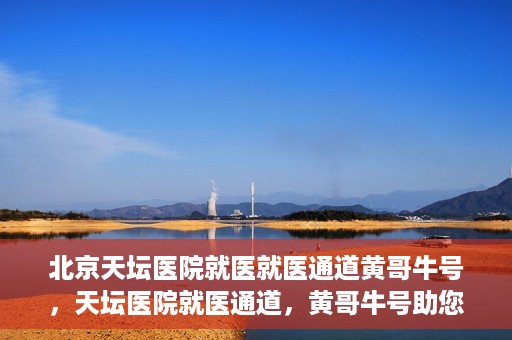 北京天坛医院就医就医通道黄哥牛号，天坛医院就医通道，黄哥牛号助您轻松就医体验