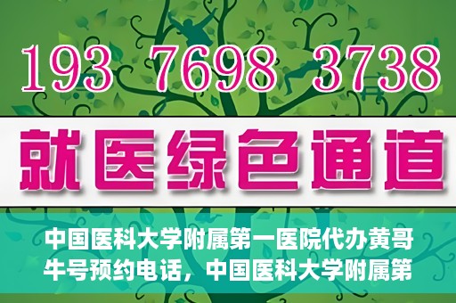 中国医科大学附属第一医院代办黄哥牛号预约电话，中国医科大学附属第一医院预约挂号代办服务，黄哥牛号预约电话详解