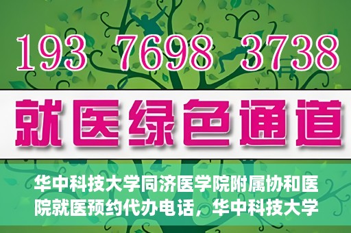 华中科技大学同济医学院附属协和医院就医预约代办电话，华中科技大学同济医学院附属协和医院就医预约代办服务热线详解