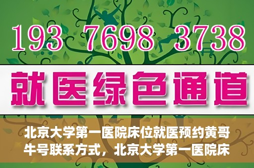 北京大学第一医院床位就医预约黄哥牛号联系方式，北京大学第一医院床位预约攻略，黄哥牛号联系方式全解析