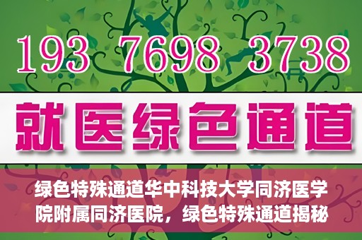 绿色特殊通道华中科技大学同济医学院附属同济医院，绿色特殊通道揭秘，华中科技大学同济医学院附属同济医院的探索之路