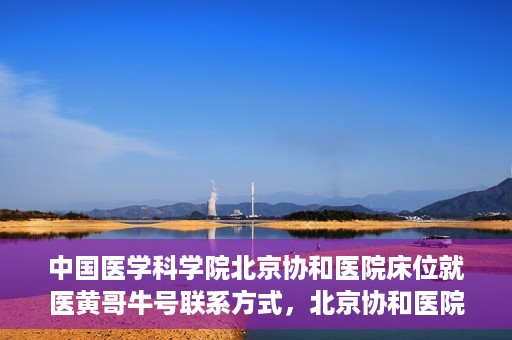 中国医学科学院北京协和医院床位就医黄哥牛号联系方式，北京协和医院床位就医攻略，黄哥牛号联系方式揭秘