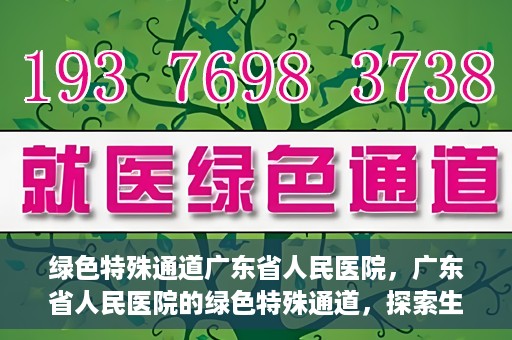 绿色特殊通道广东省人民医院，广东省人民医院的绿色特殊通道，探索生命的新路径