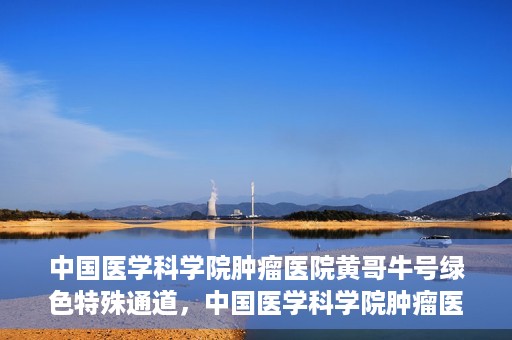 中国医学科学院肿瘤医院黄哥牛号绿色特殊通道，中国医学科学院肿瘤医院黄哥牛号，绿色特殊通道开启健康之门