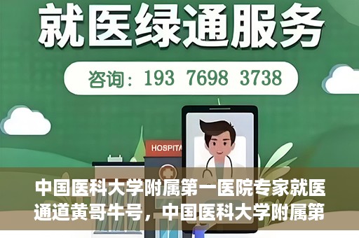 中国医科大学附属第一医院专家就医通道黄哥牛号，中国医科大学附属第一医院专家就医通道揭秘，黄哥牛号引领就医新风尚