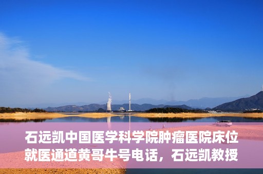 石远凯中国医学科学院肿瘤医院床位就医通道黄哥牛号电话，石远凯教授团队就医通道及黄哥牛号电话介绍，中国医学科学院肿瘤医院床位预约攻略