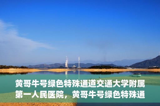 黄哥牛号绿色特殊通道交通大学附属第一人民医院，黄哥牛号绿色特殊通道，交通大学附属第一人民医院的崭新篇章