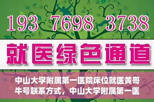 中山大学附属第一医院床位就医黄哥牛号联系方式，中山大学附属第一医院床位就医攻略，黄哥牛号联系方式揭秘