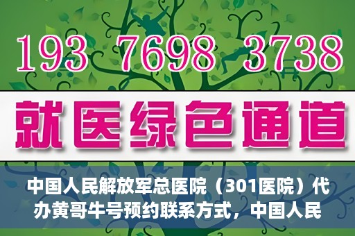中国人民解放军总医院（301医院）代办黄哥牛号预约联系方式，中国人民解放军总医院（301医院）黄哥牛号预约联系方式全解析