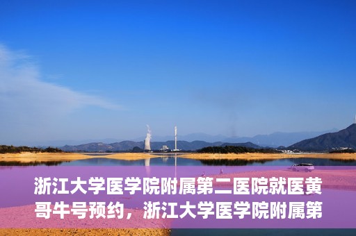 浙江大学医学院附属第二医院就医黄哥牛号预约，浙江大学医学院附属第二医院就医攻略，黄哥牛号预约详解