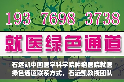 石远凯中国医学科学院肿瘤医院就医绿色通道联系方式，石远凯教授团队就医绿色通道联系方式——中国医学科学院肿瘤医院就医指南