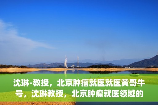 沈琳-教授，北京肿瘤就医就医黄哥牛号，沈琳教授，北京肿瘤就医领域的权威解读与黄哥牛号就医指南