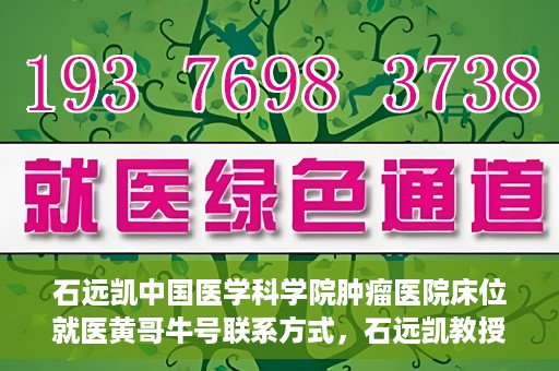 石远凯中国医学科学院肿瘤医院床位就医黄哥牛号联系方式，石远凯教授团队就医攻略，黄哥牛联系方式及中国医学科学院肿瘤医院床位预约指南
