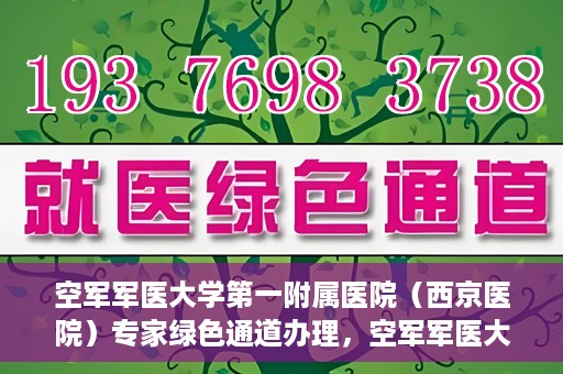 空军军医大学第一附属医院（西京医院）专家绿色通道办理，空军军医大学第一附属医院（西京医院）专家绿色通道办理详解与指南
