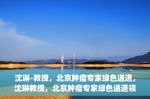 沈琳-教授，北京肿瘤专家绿色通道，沈琳教授，北京肿瘤专家绿色通道领航者