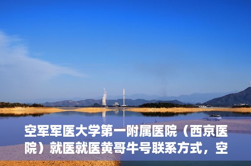空军军医大学第一附属医院（西京医院）就医就医黄哥牛号联系方式，空军军医大学第一附属医院（西京医院）就医指南及黄哥牛号联系方式揭秘