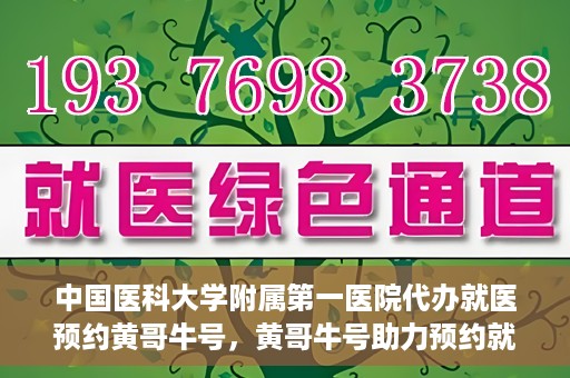 中国医科大学附属第一医院代办就医预约黄哥牛号，黄哥牛号助力预约就医，中国医科大学附属第一医院代办服务解析