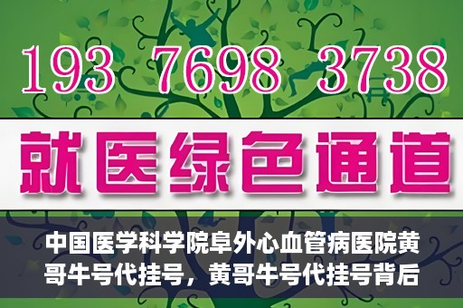 中国医学科学院阜外心血管病医院黄哥牛号代挂号，黄哥牛号代挂号背后的故事，阜外心血管病医院的探索与挑战