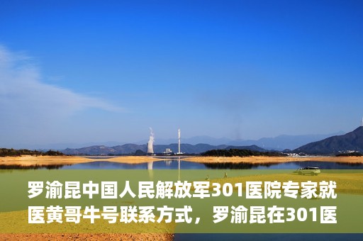 罗渝昆中国人民解放军301医院专家就医黄哥牛号联系方式，罗渝昆在301医院的健康守护者，黄哥牛号联系方式揭秘