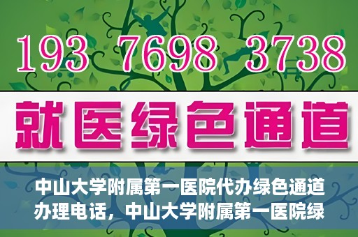 中山大学附属第一医院代办绿色通道办理电话，中山大学附属第一医院绿色通道办理流程及电话全解析