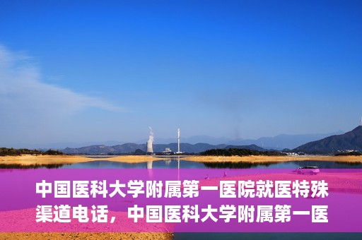 中国医科大学附属第一医院就医特殊渠道电话，中国医科大学附属第一医院特殊就医渠道联系电话详解