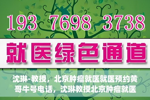 沈琳-教授，北京肿瘤就医就医预约黄哥牛号电话，沈琳教授北京肿瘤就医预约热线揭秘，黄哥牛号电话助您轻松挂号就医