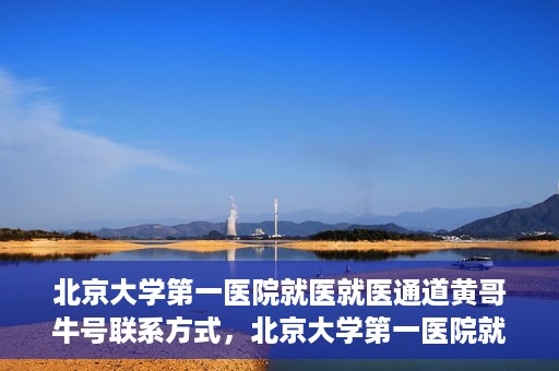 北京大学第一医院就医就医通道黄哥牛号联系方式，北京大学第一医院就医通道详解，黄哥牛号联系方式揭秘