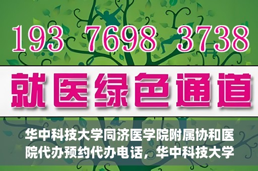 华中科技大学同济医学院附属协和医院代办预约代办电话，华中科技大学同济医学院附属协和医院预约代办服务热线解析
